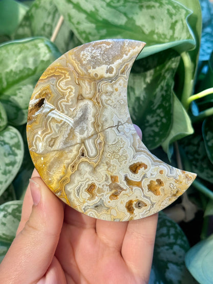 1 intuitive yellow crazy lace agate moon from Indonesia