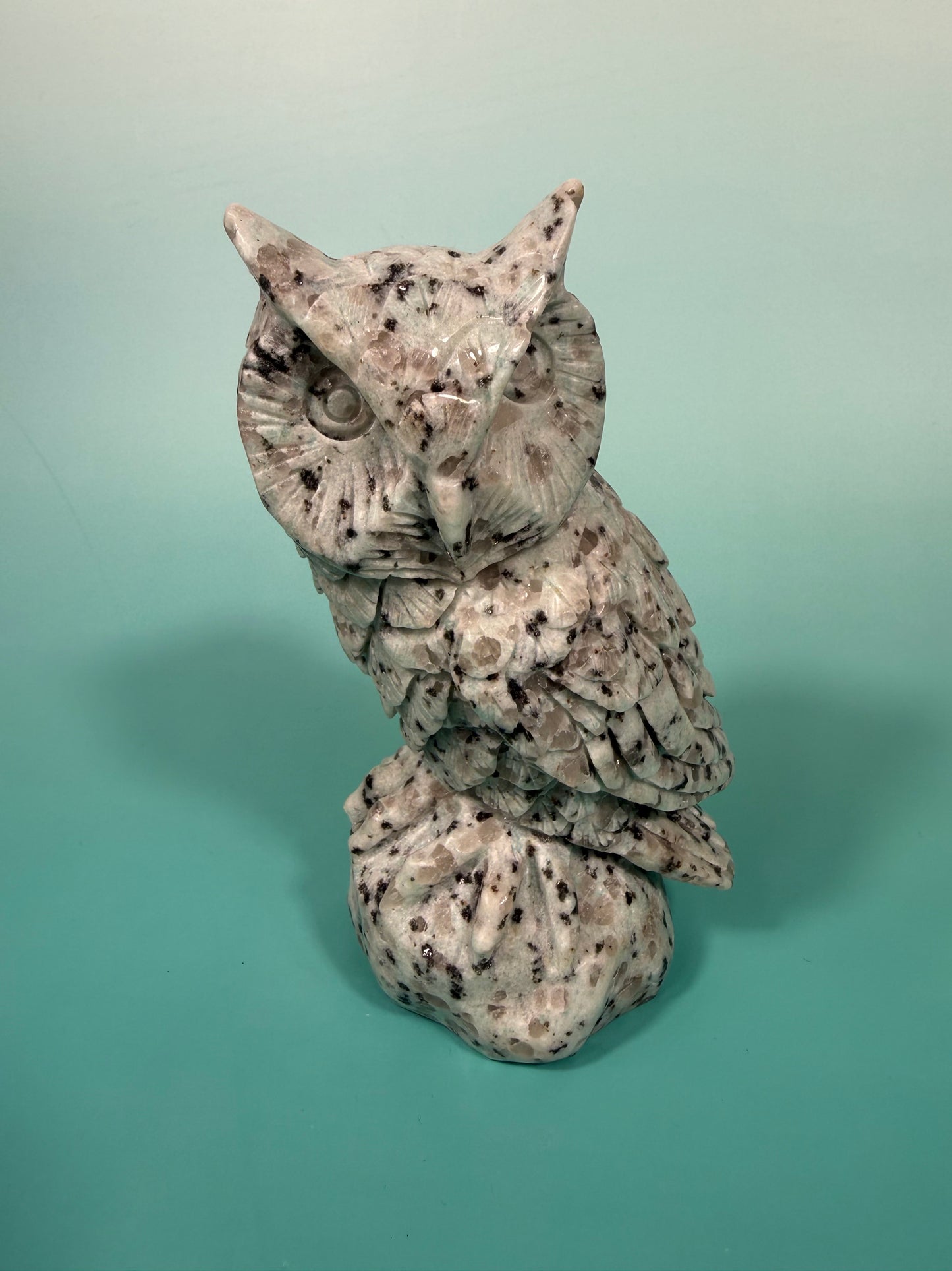 LG kiwi jasper owl B