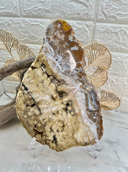 AAA yellow druzy orbicular ocean jasper slab from Madagascar