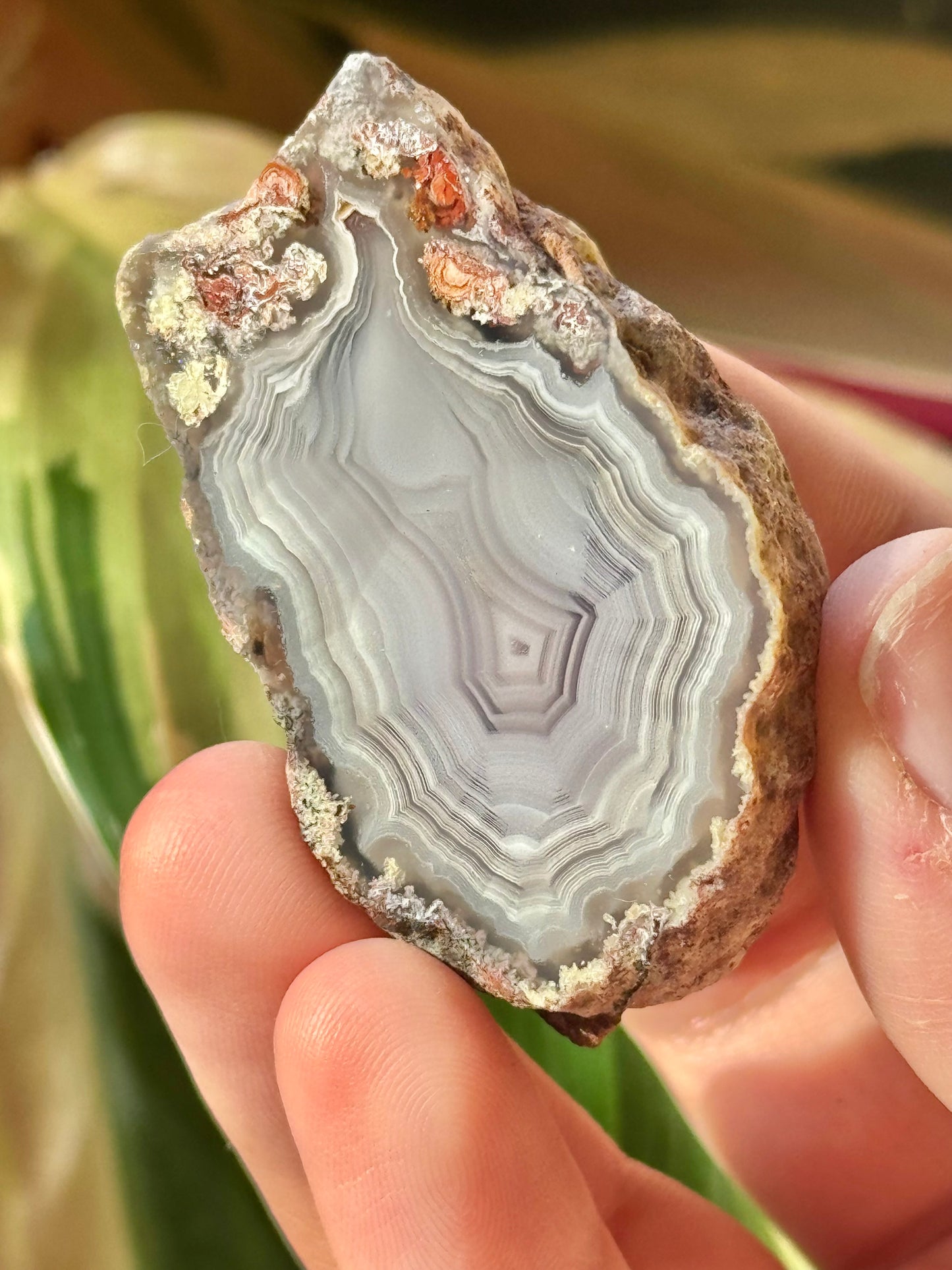 Angelic white laguna agate JJ