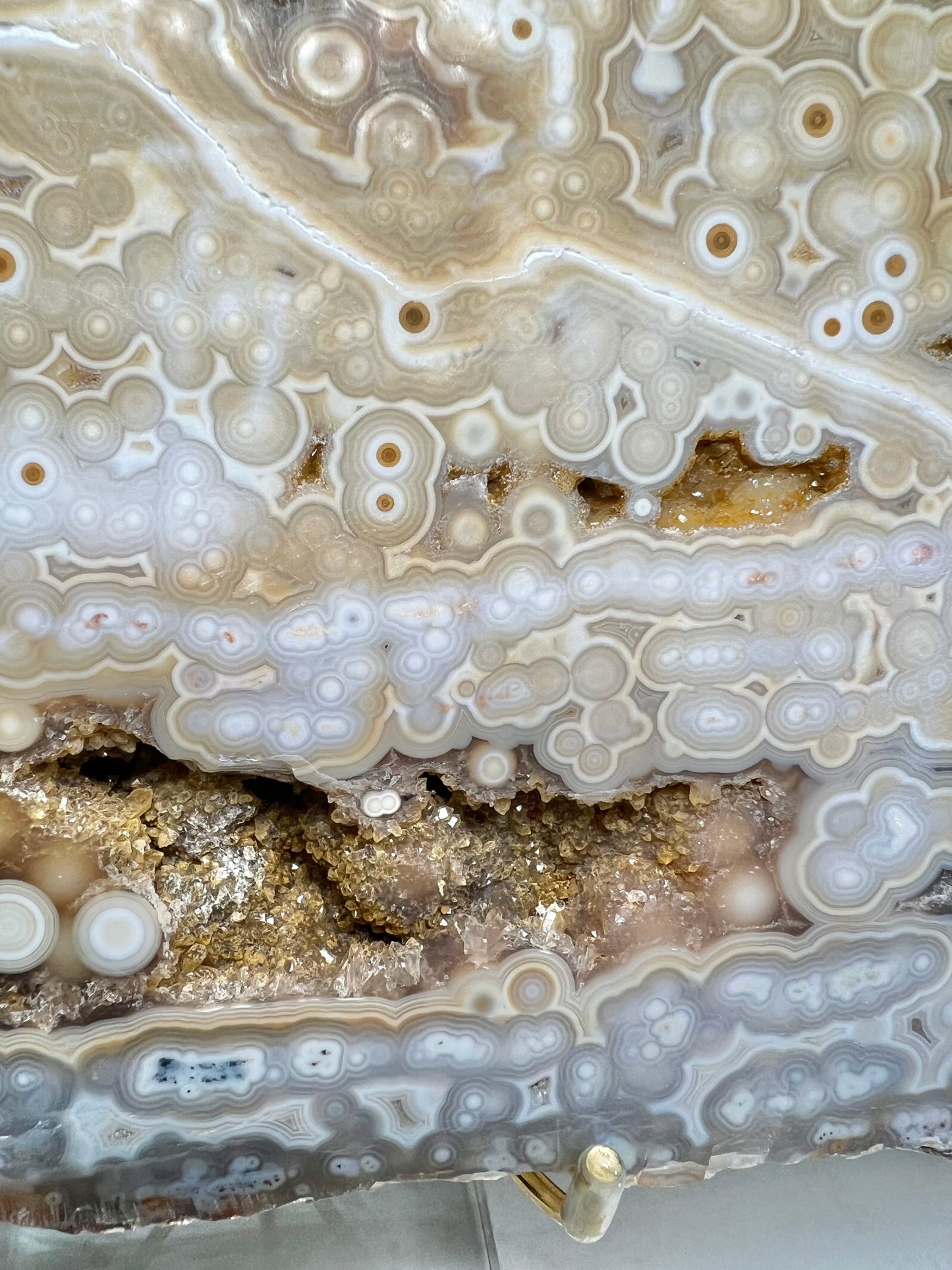 AAA yellow druzy orbicular ocean jasper slab from Madagascar