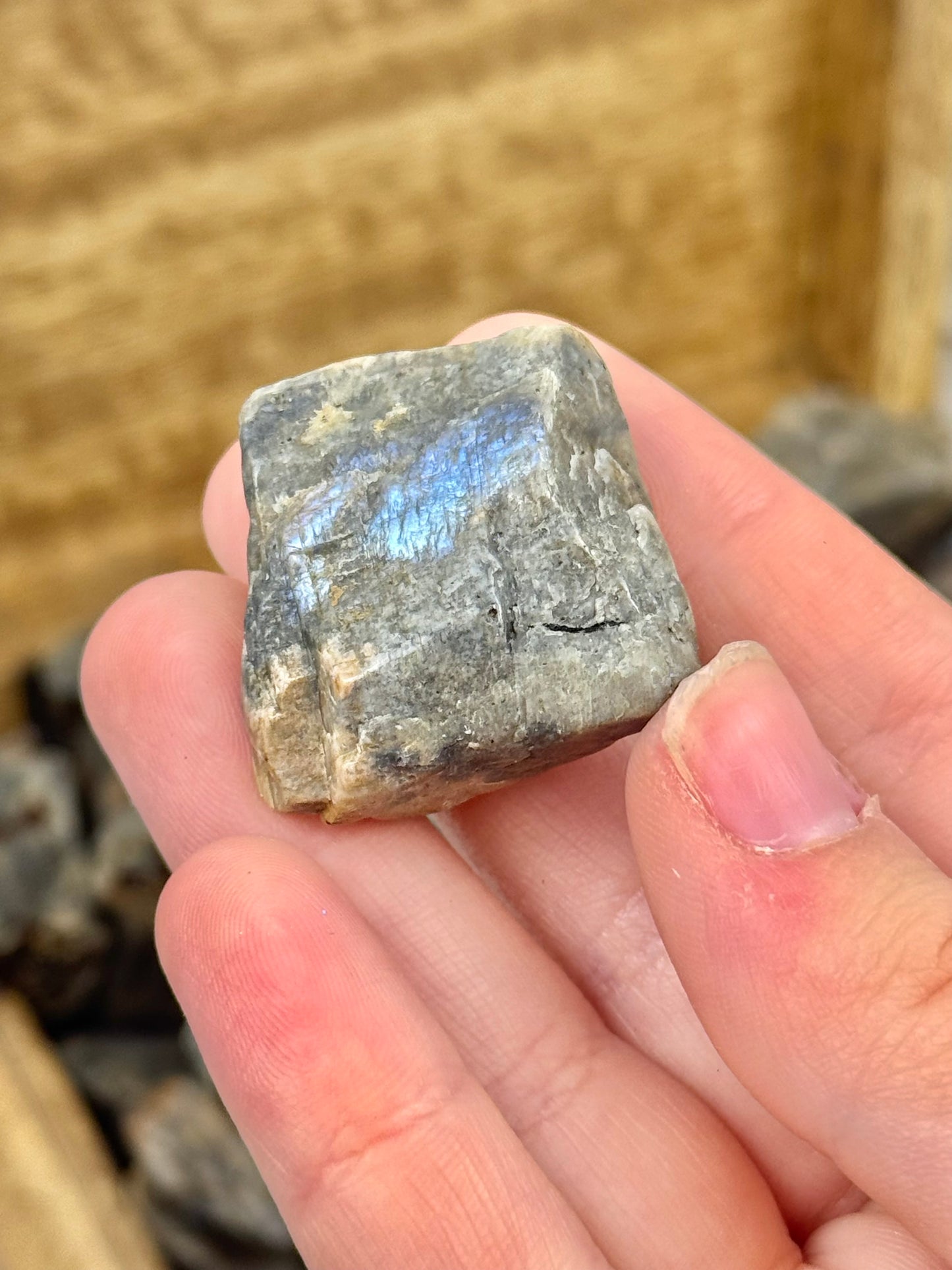 1 raw piece of blue moonstone from Wisconsin