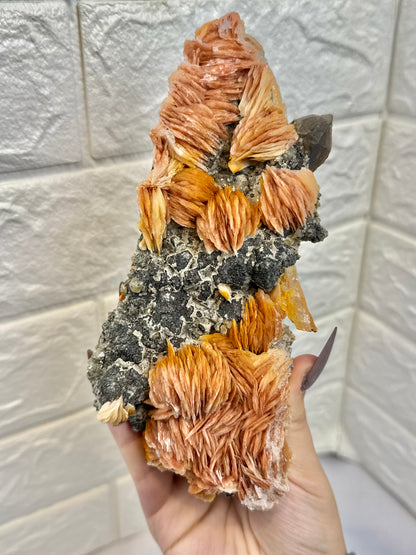 You pick! Peachy barite with cerussite from Morocco