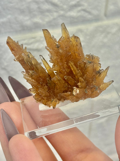 You pick! Incredible amber calcite specimens from Vietnam