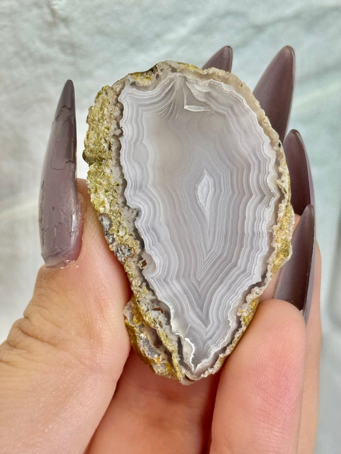 You pick! Stunning Laguna agates from Chihuahua Mexico