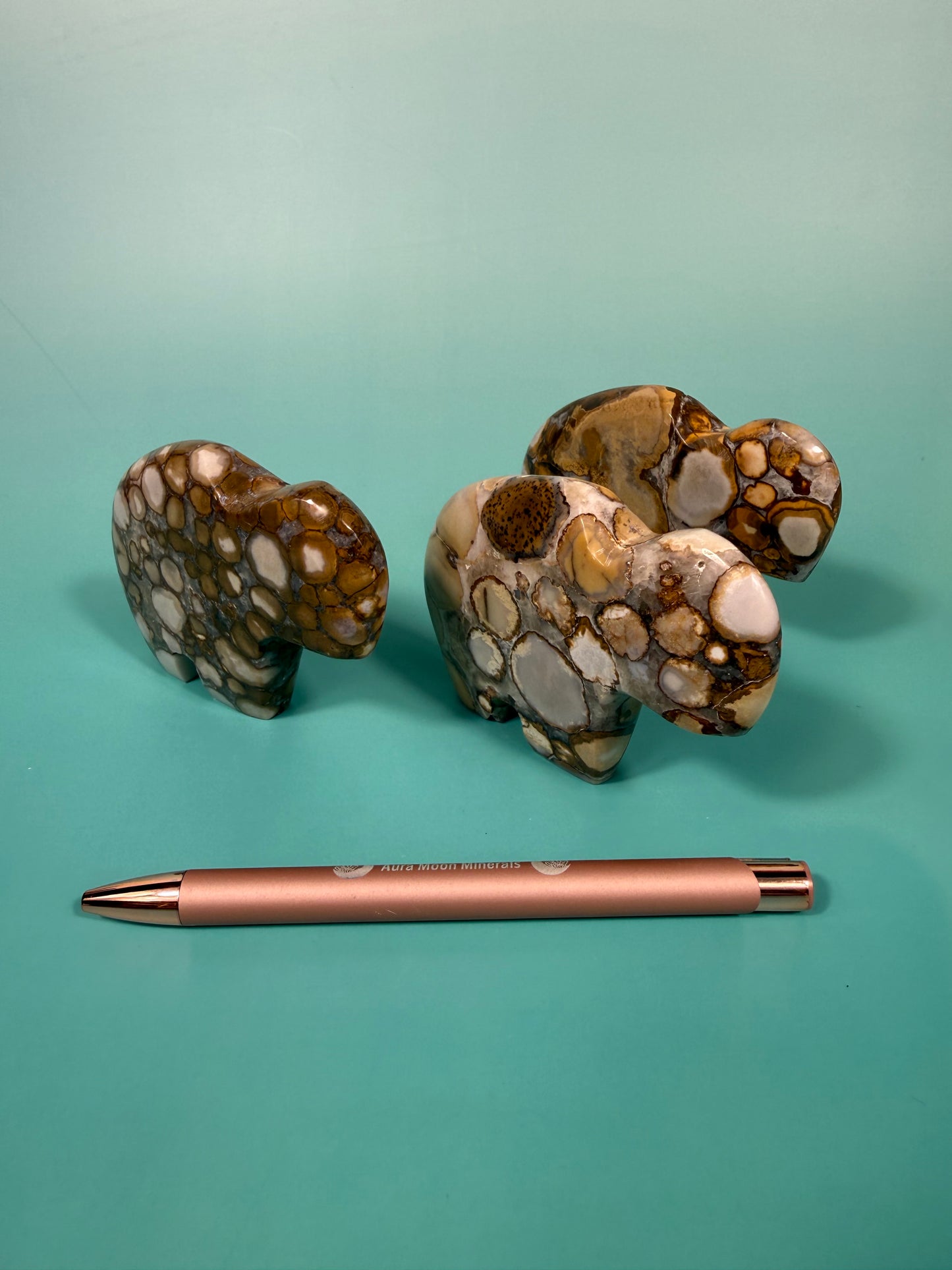 Cobra jasper buffalo
