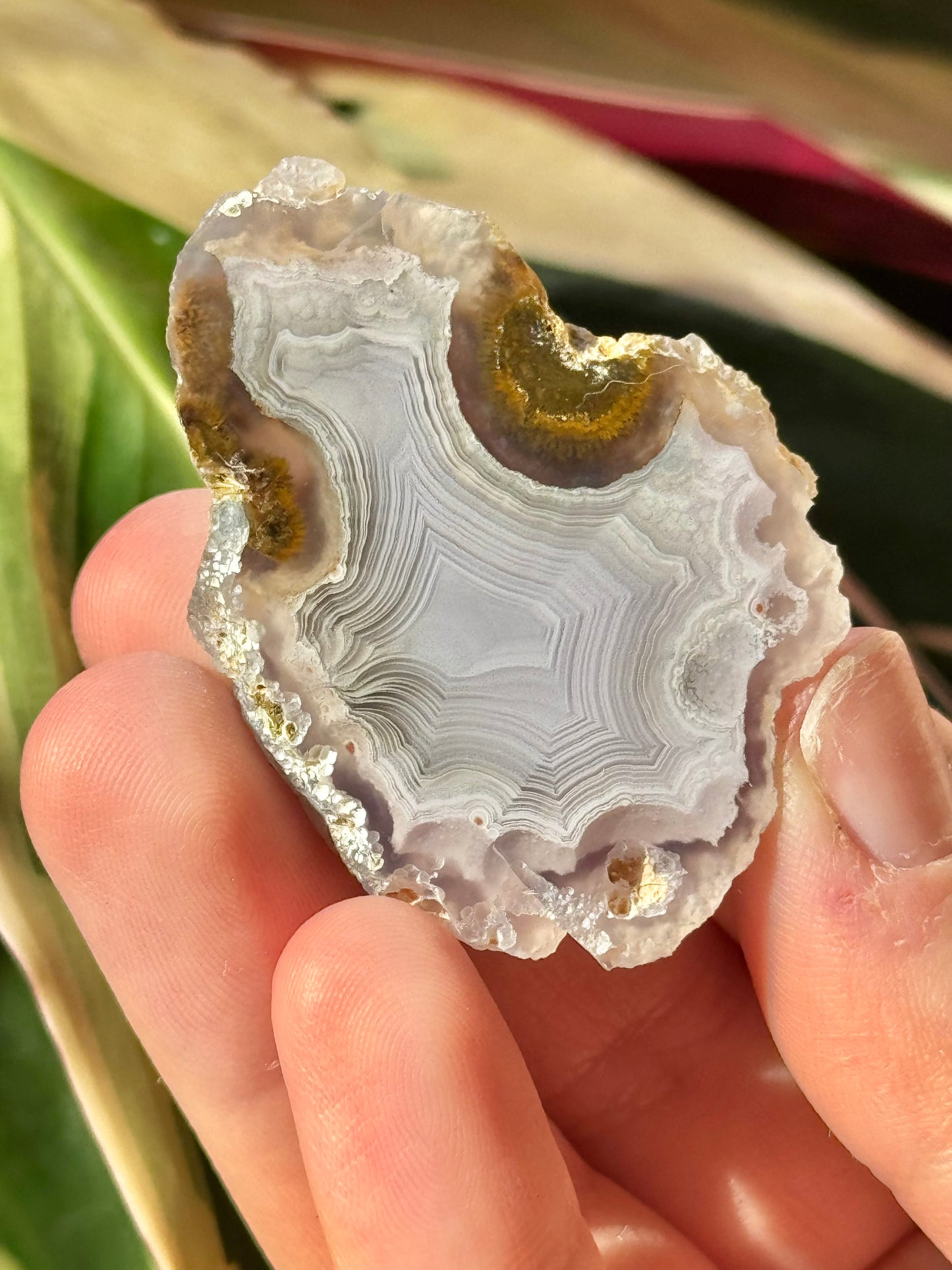 White laguna agate LL