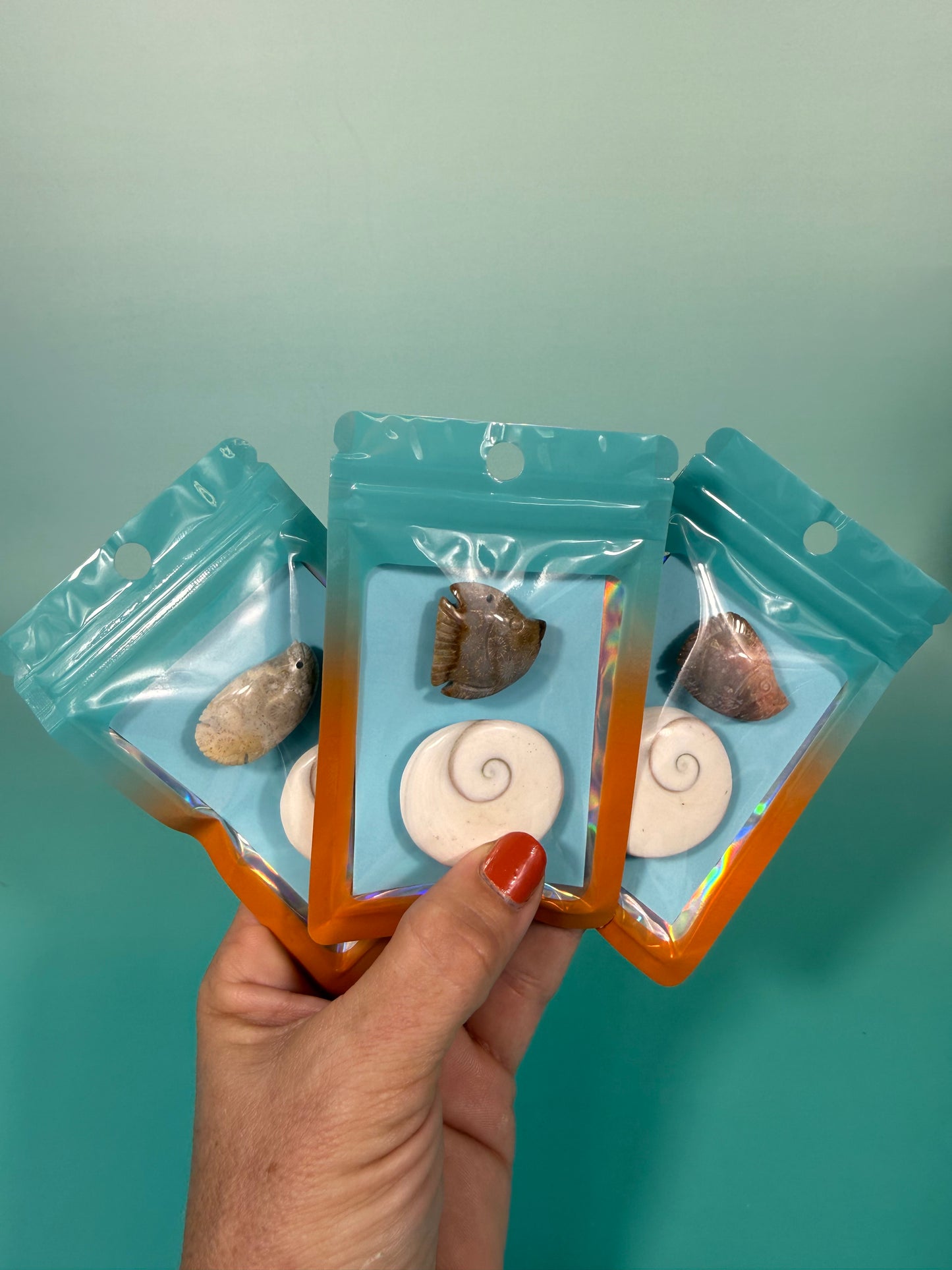 1 auramoon pack - shiva shell and fossilized coral fish carving