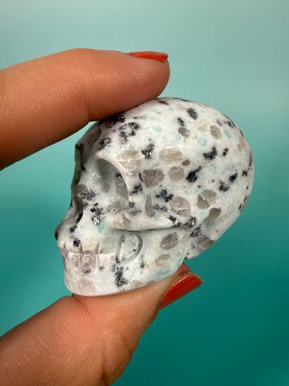 Kiwi jasper skull