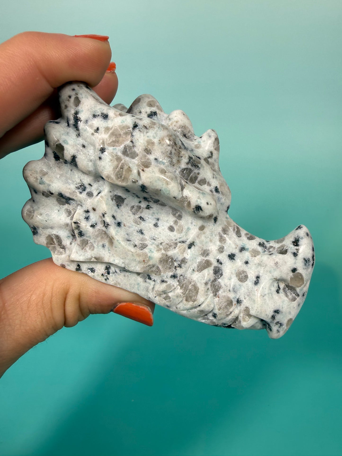 Kiwi jasper dragon head