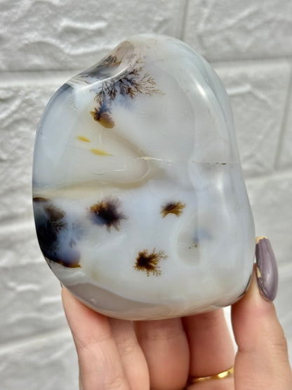 You pick! Dendritic agate Freeform’s