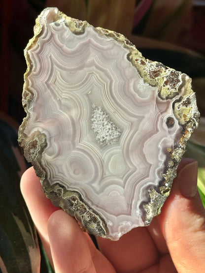 White/baby pink laguna agate J