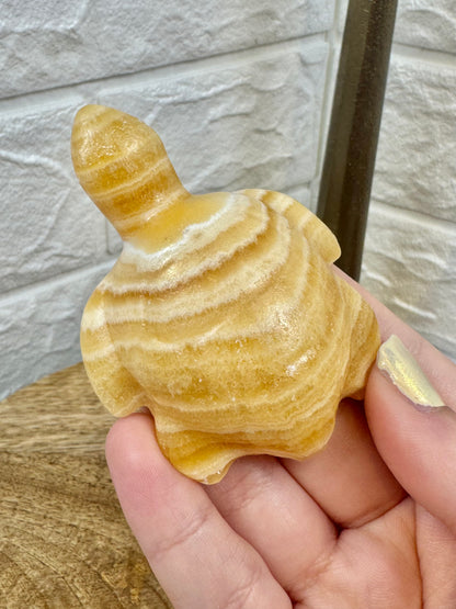 Adorable orange calcite sea turtle