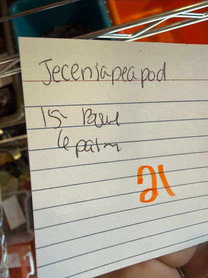 Jeceniapeapod