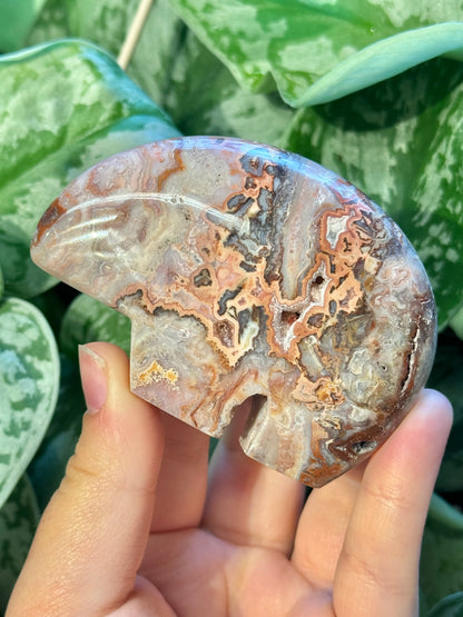 1 LG intuitive pink crazy lace agate bear from Indonesia