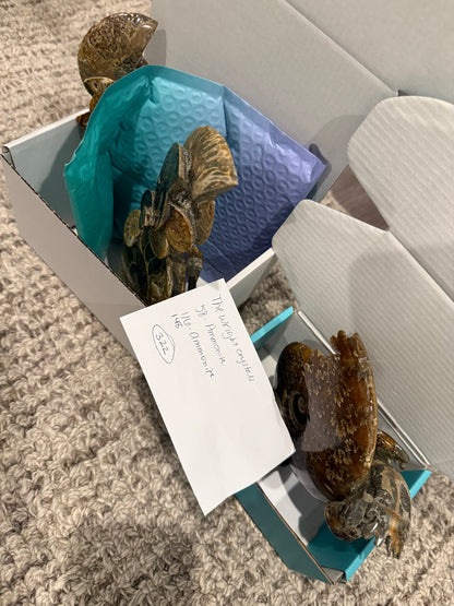 Thewrightcrystals