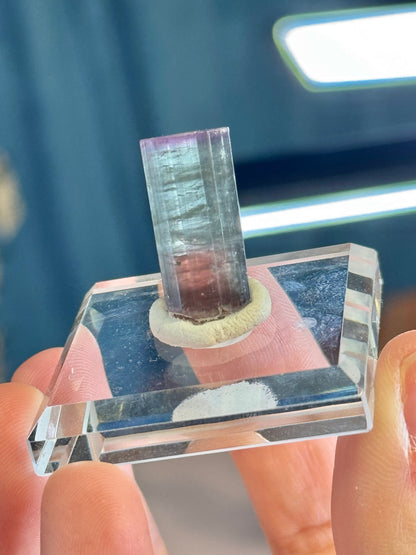 You pick! Juicy watermelon tourmaline specimens from Afghanistan