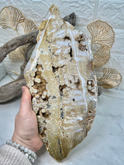 AAA yellow druzy orbicular ocean jasper slab from Madagascar