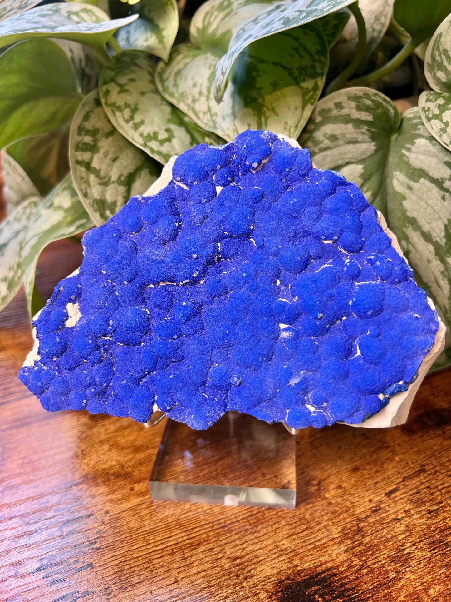 *rare* azurite sun specimen from Australia