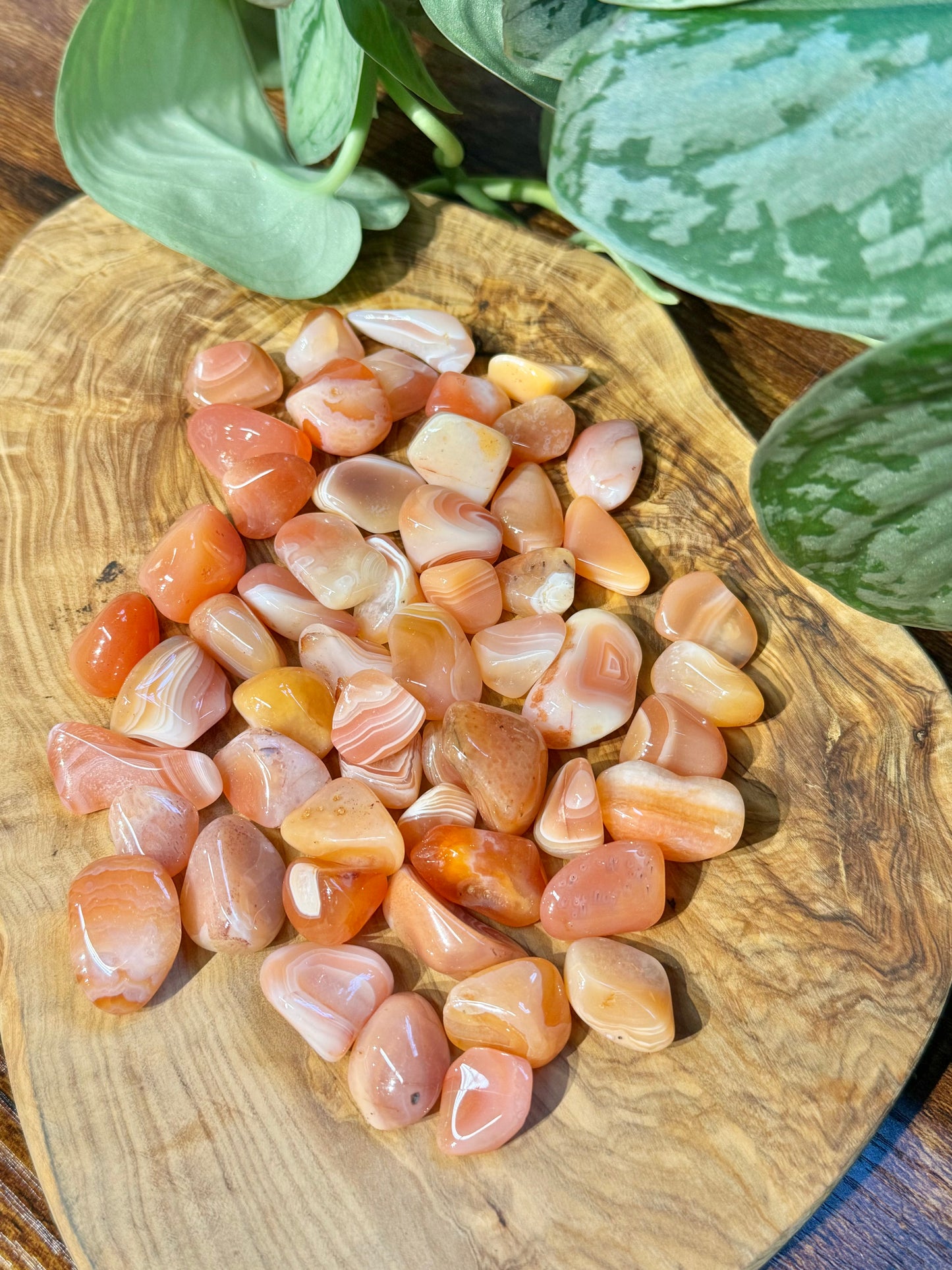 1 XS banded carnelian tumble