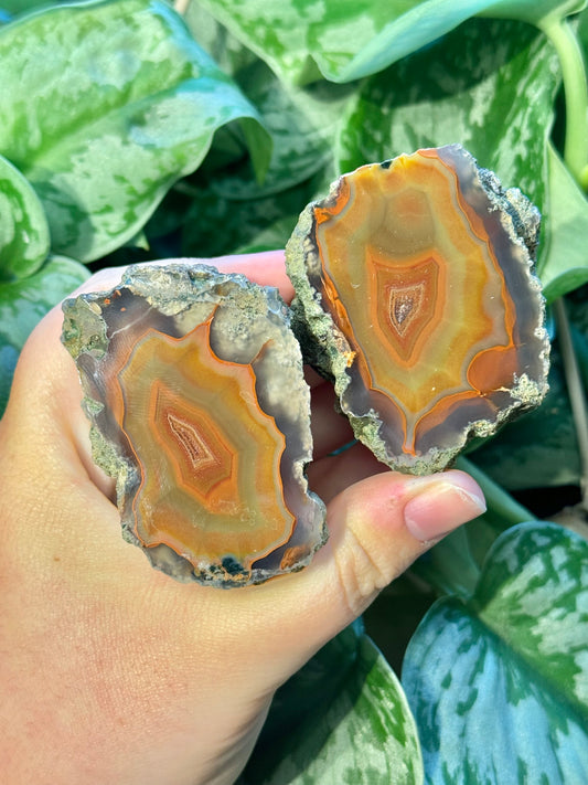 Beautiful Condor agate pair from Argentina