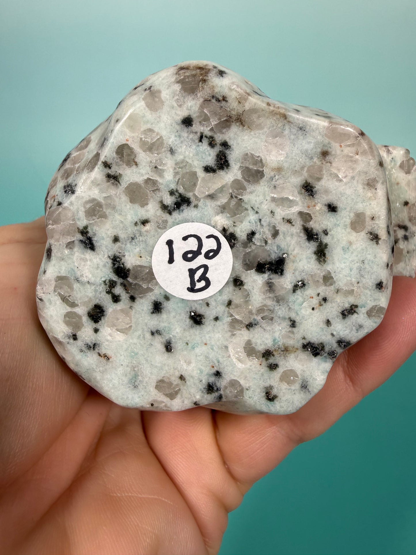 LG kiwi jasper owl B