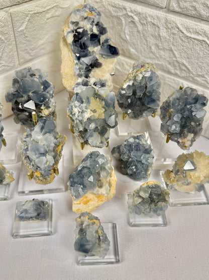 You pick! Incredible high-grade Celestine specimens from Afghanistan