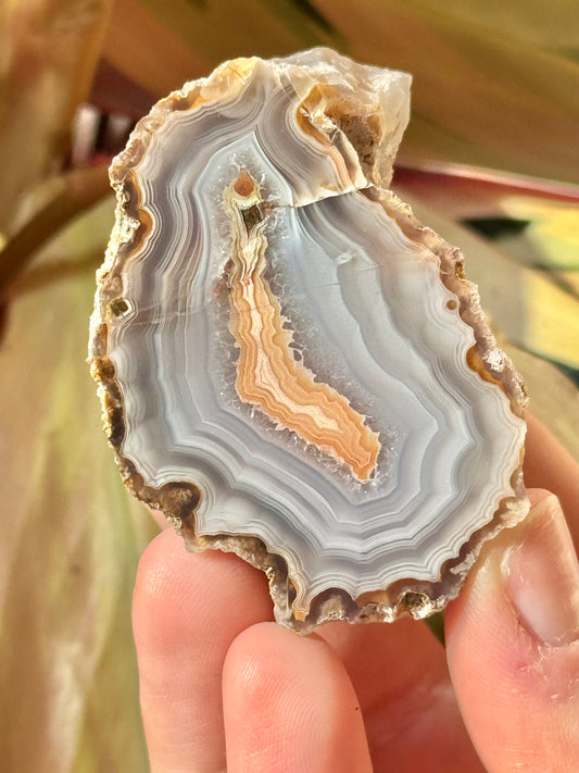 Baby blue/ orange laguna agate PP