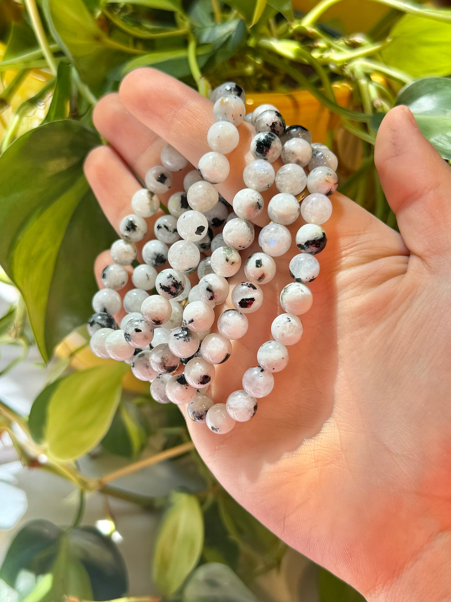 8MM Rainbow Moonstone bracelet