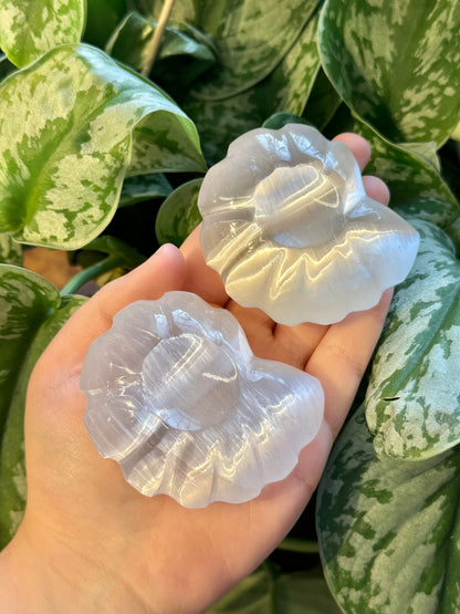 1 cute satin spar nautilus sphere holder