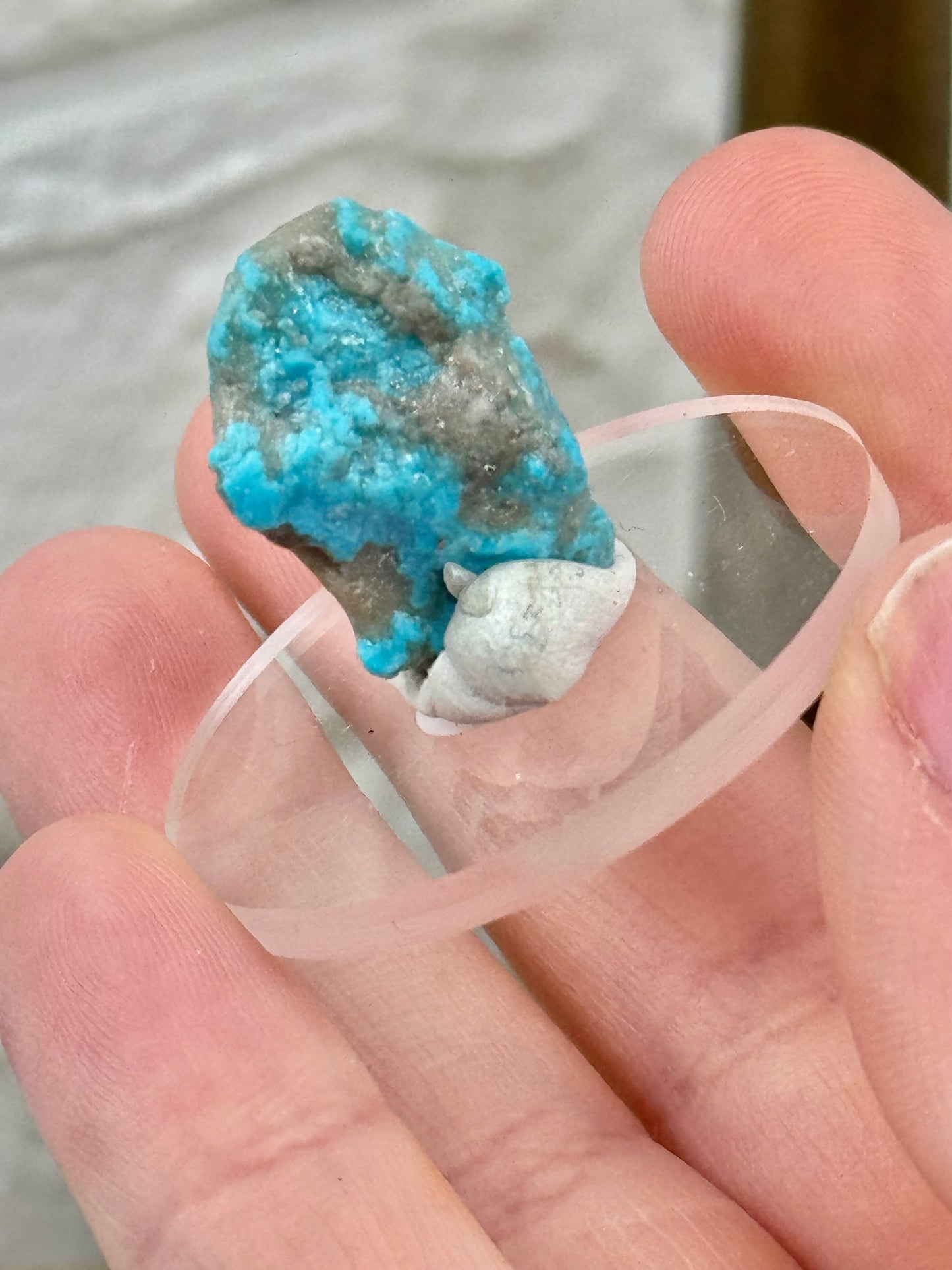 1 gorgeous Arizona Turquoise from the Kingman mine