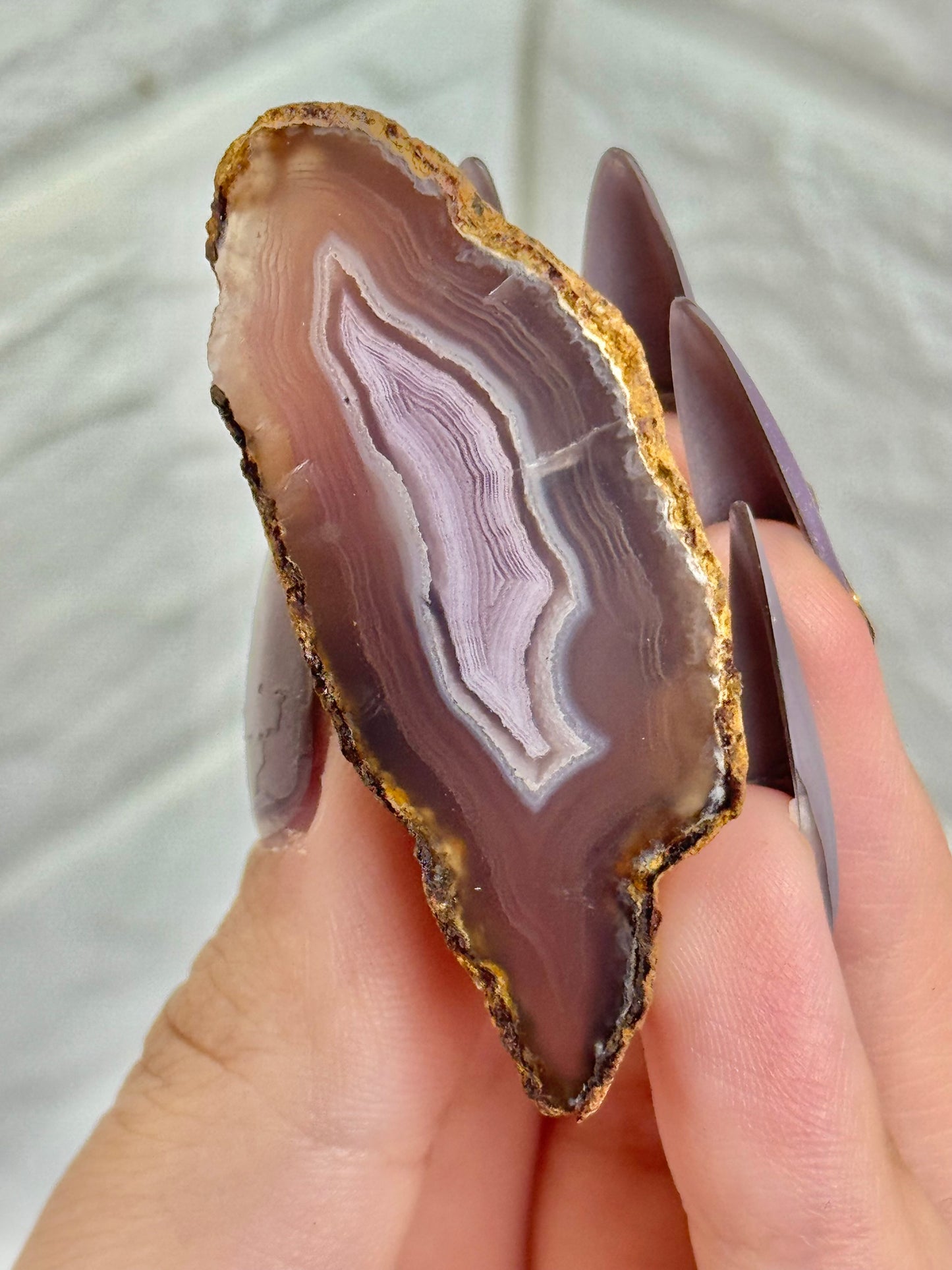 You pick! Stunning cool toned Laguna agates from Chihuahua Mexico