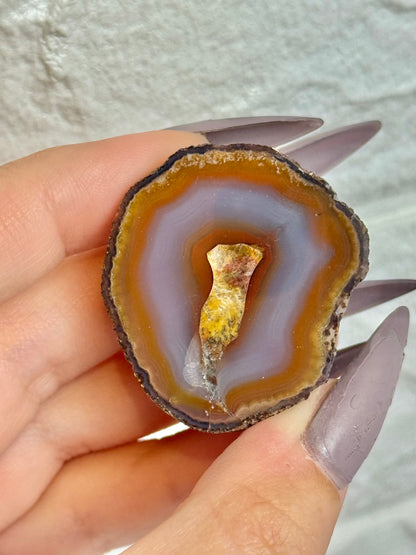 You pick! Stunning Laguna agates from Chihuahua Mexico