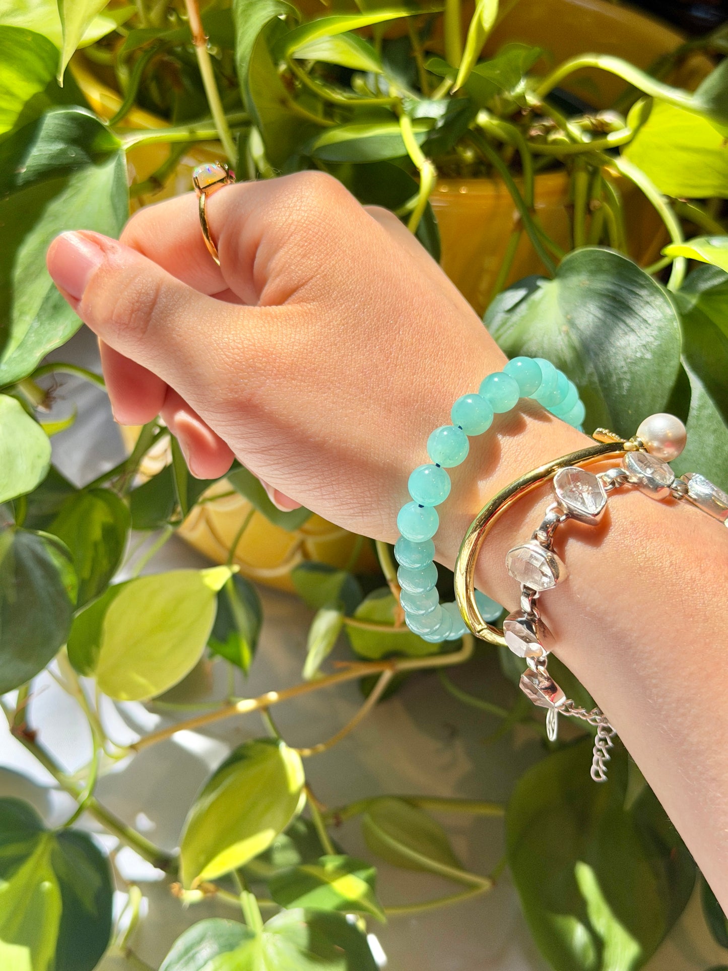 8MM HQ Amazonite bracelet