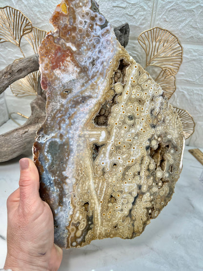 AAA yellow druzy orbicular ocean jasper slab from Madagascar