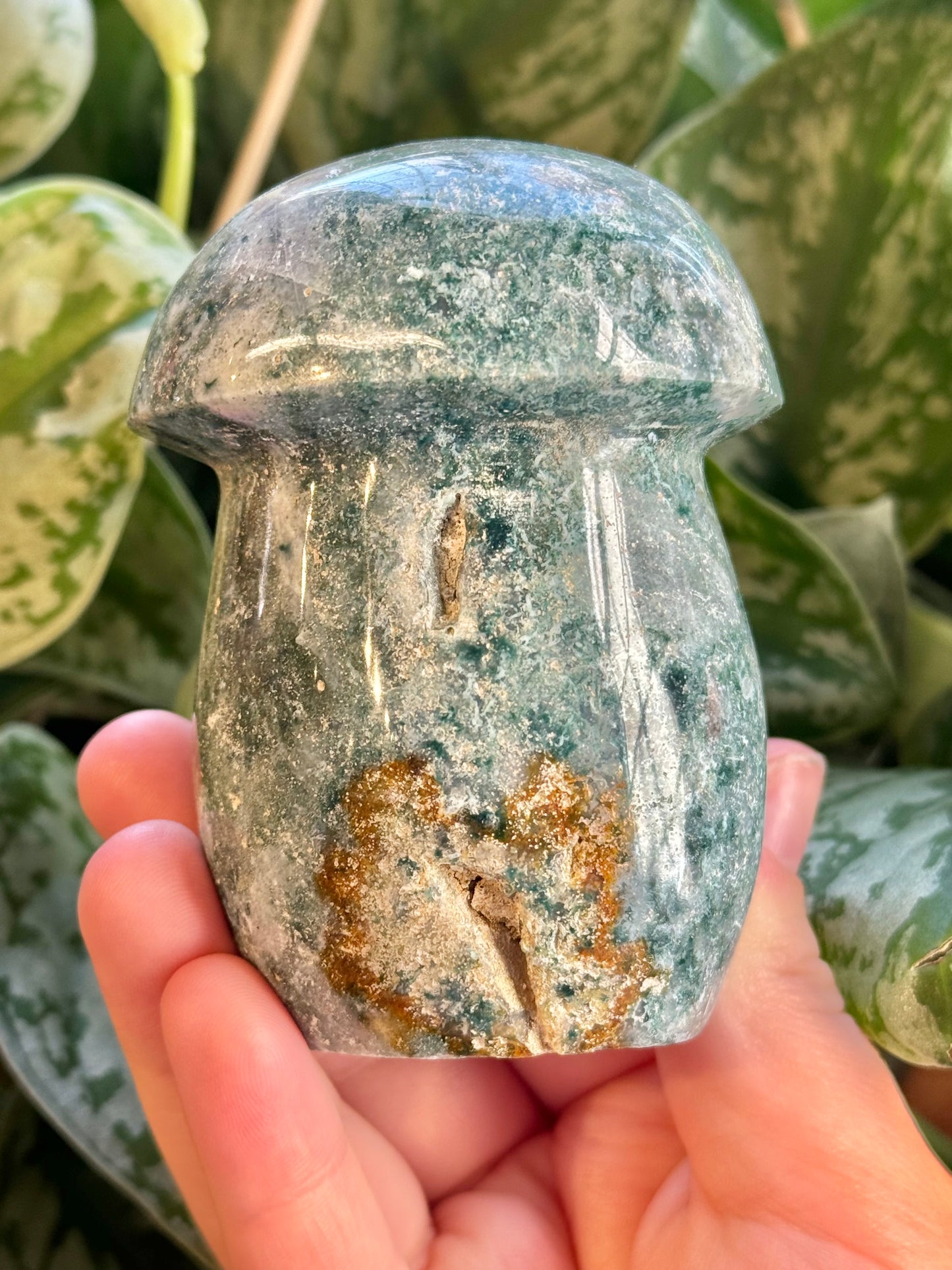 XL teal sea jasper mushroom F