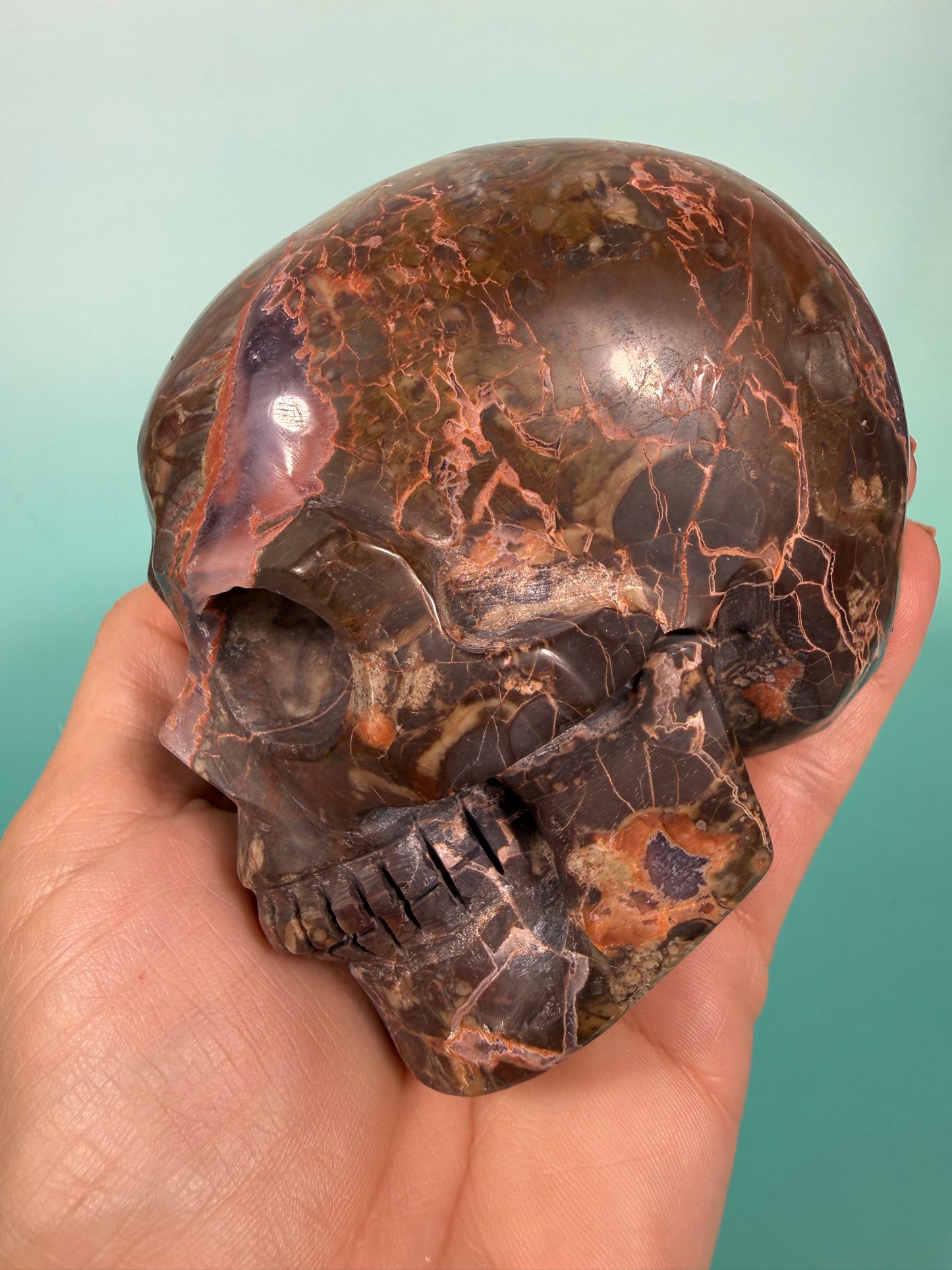 Amazing Money agate skull