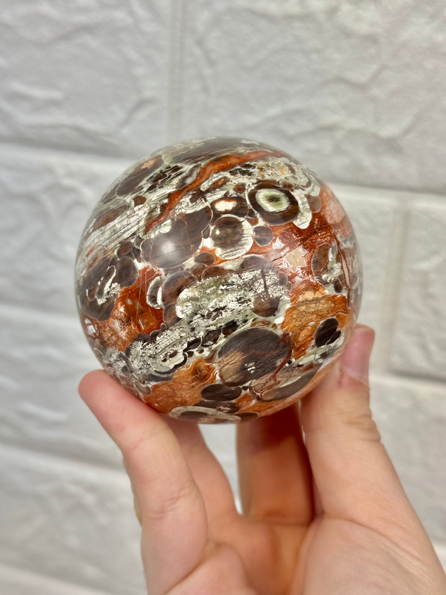 You pick! Money agate spheres from Indonesia