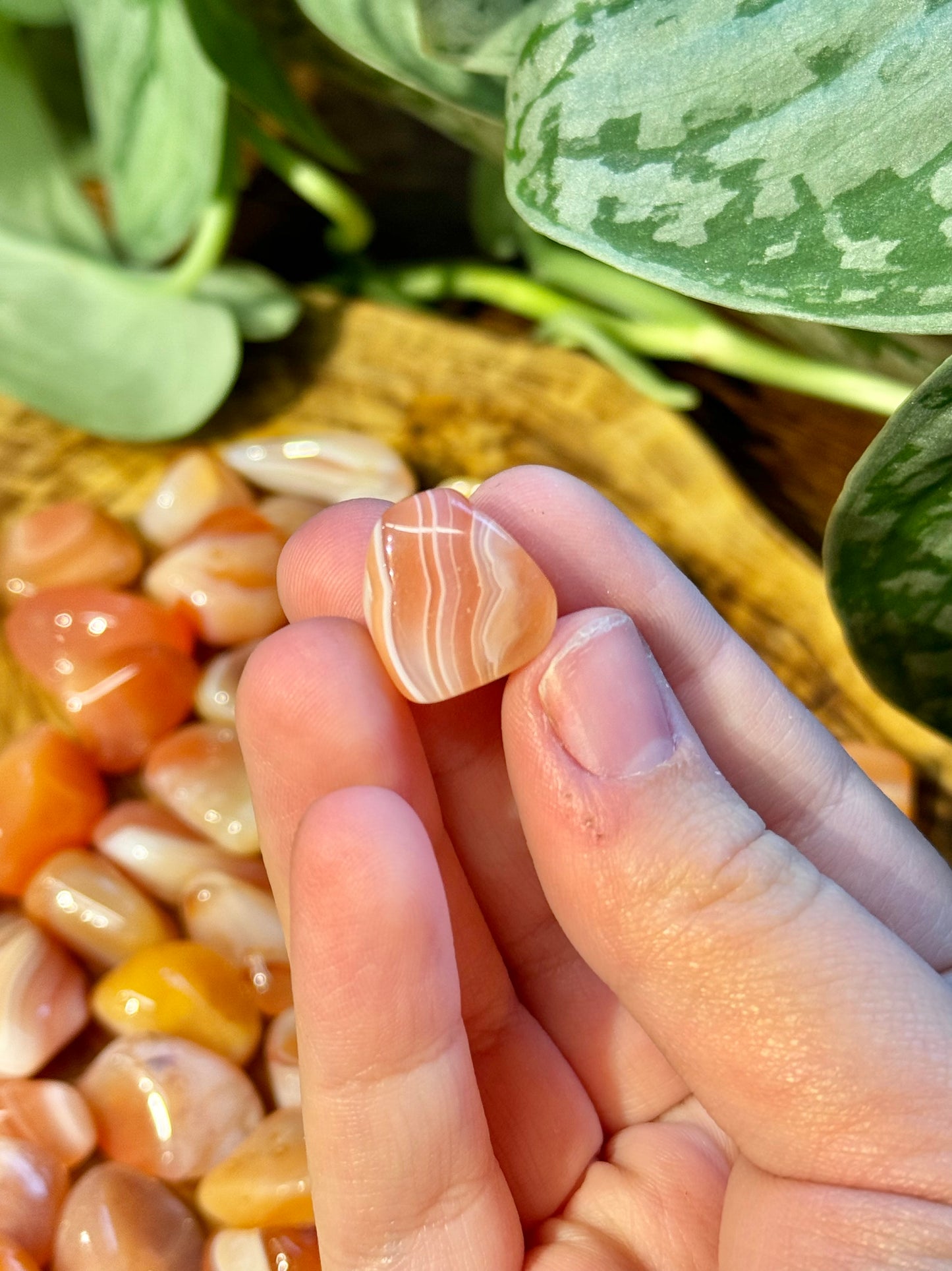 1 XS banded carnelian tumble