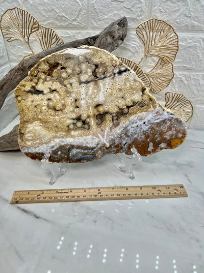 AAA yellow druzy orbicular ocean jasper slab from Madagascar