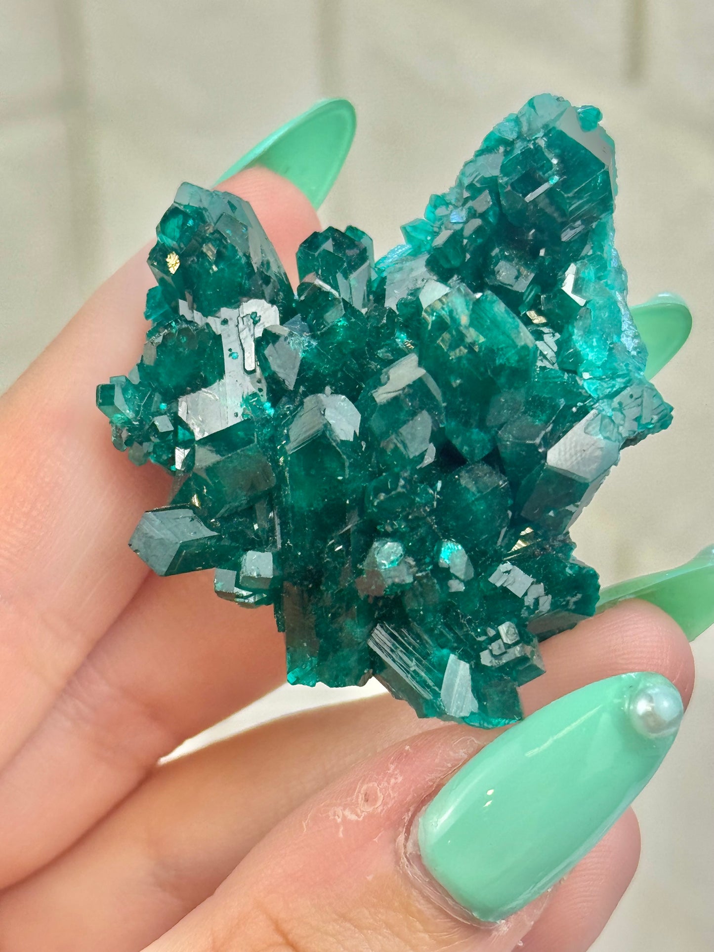 You pick! Insane high-grade dioptase specimens from DRC