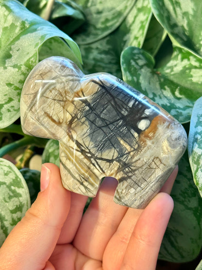 1 incredible Picasso jasper buffalo from Utah