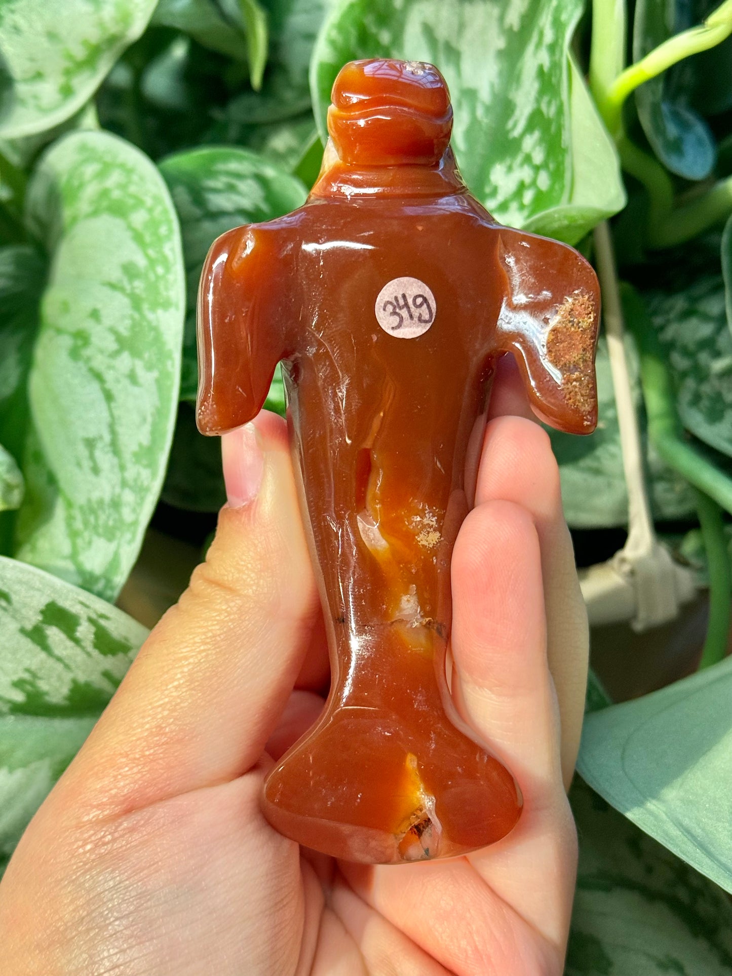 Heated carnelian manatee G