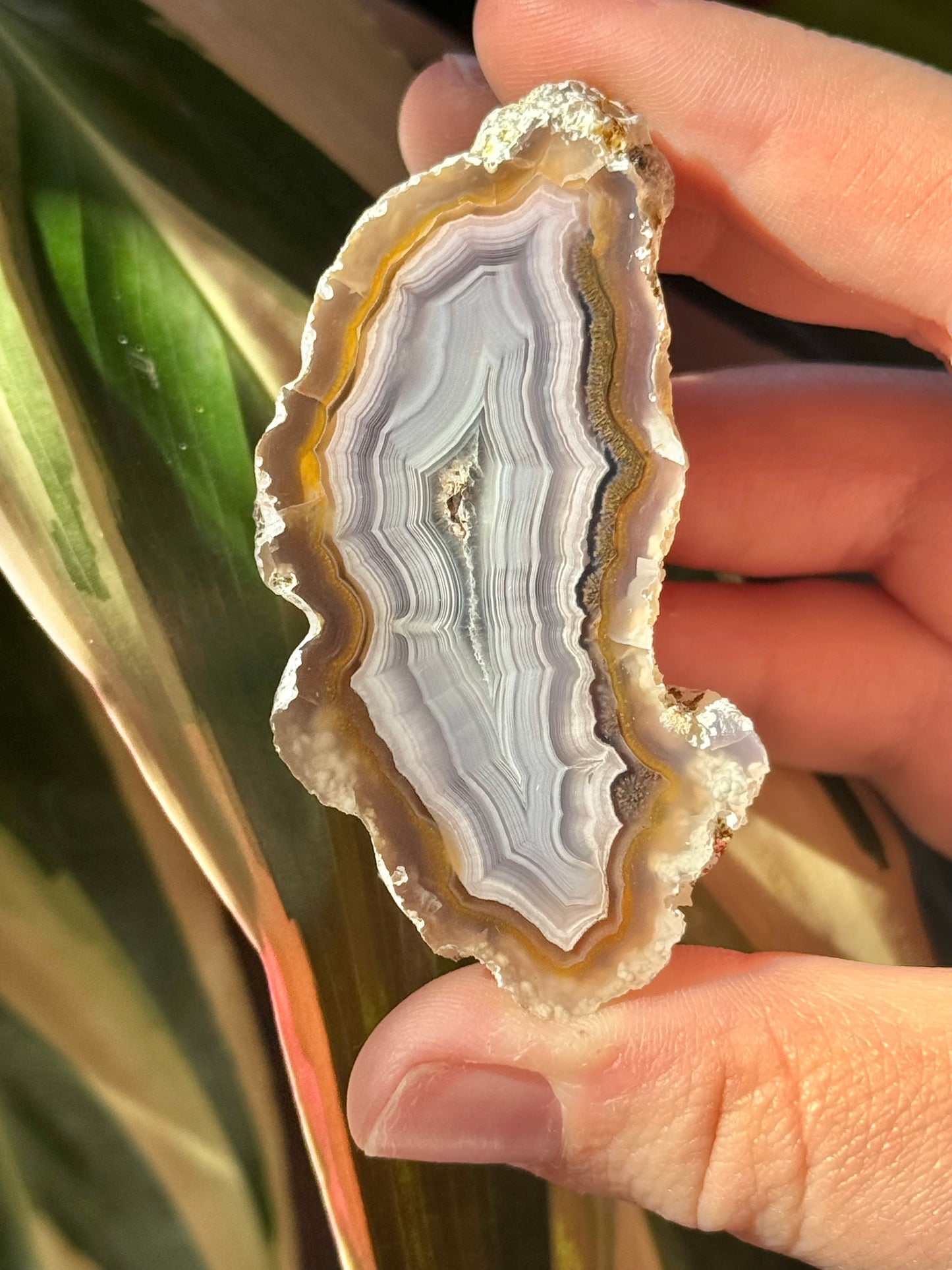 White/orange laguna agate V