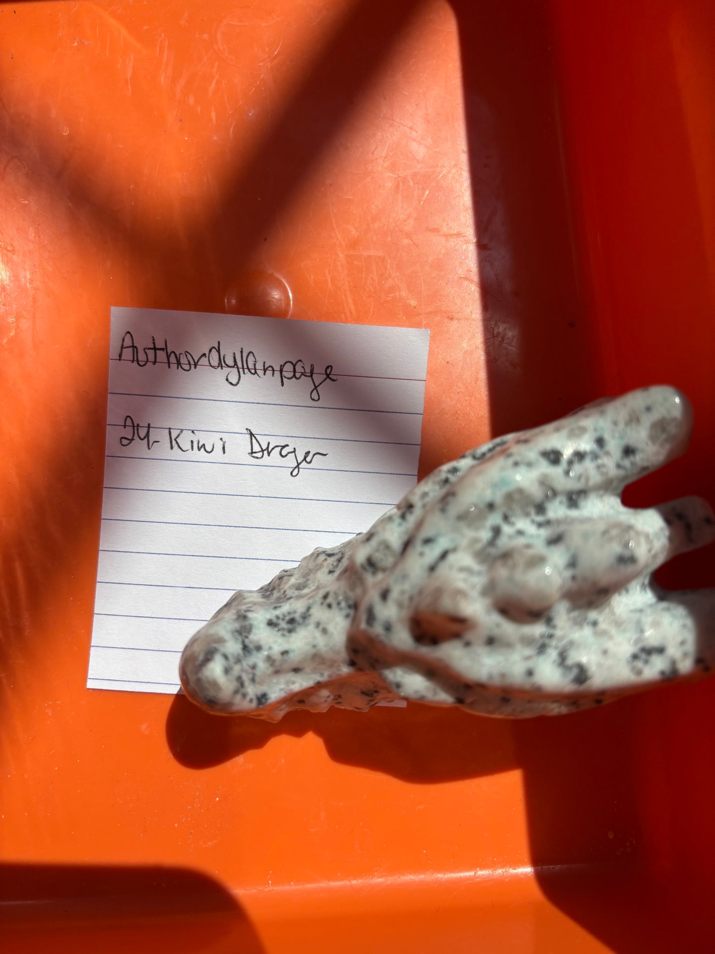 AuthorDylanPaige