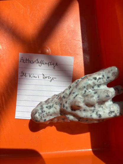 AuthorDylanPaige
