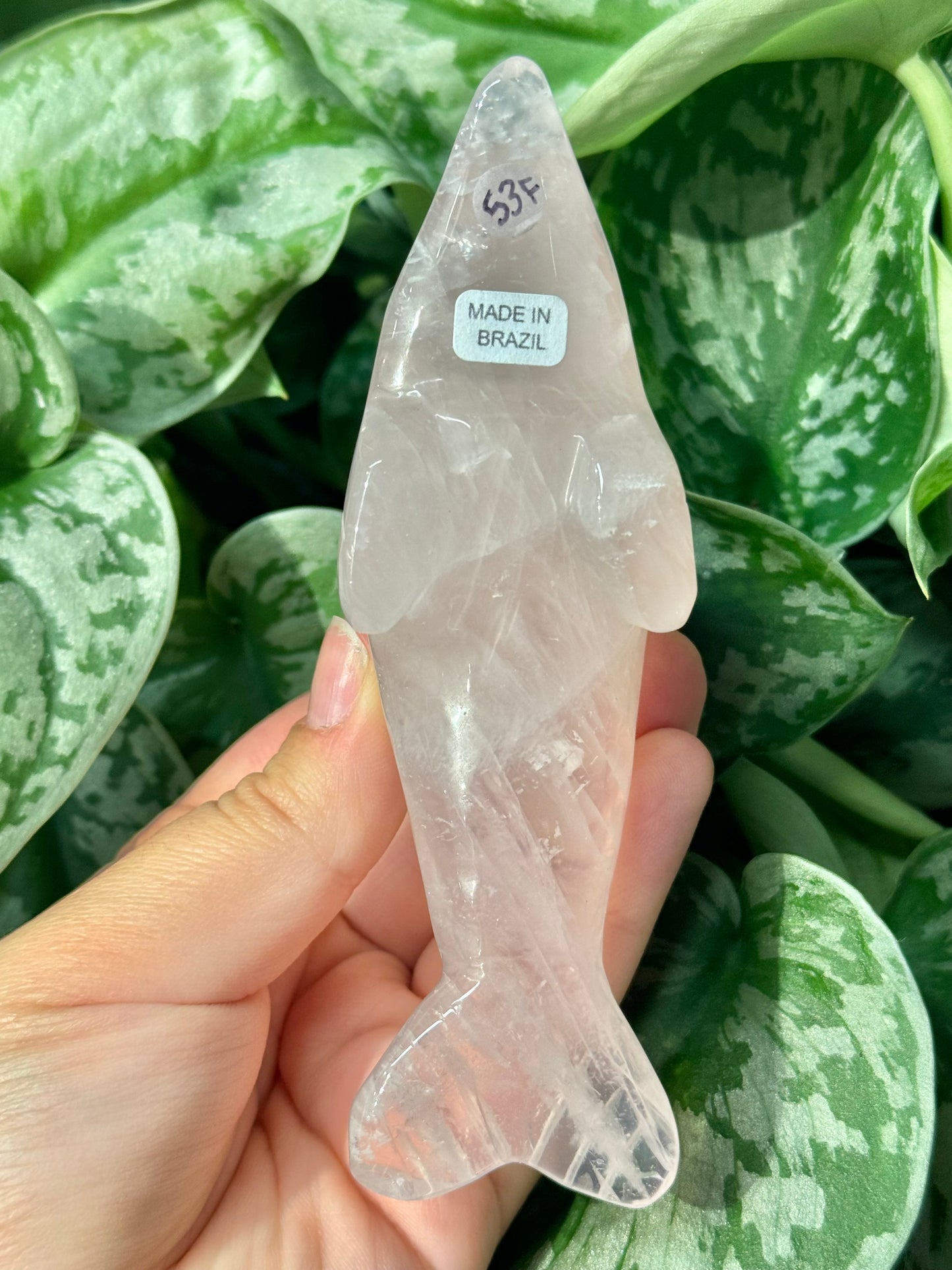 Cute rose quartz dolphin F