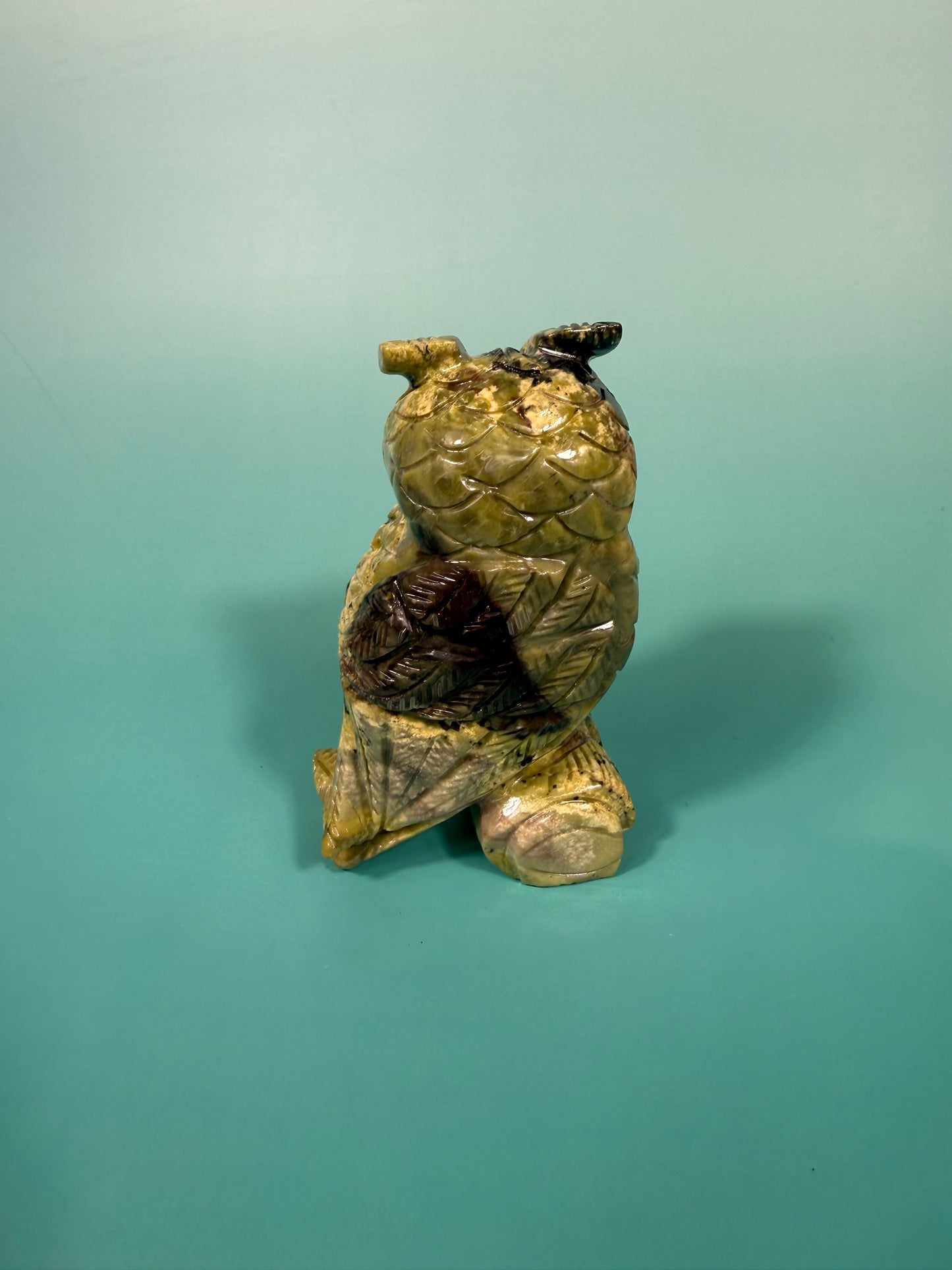 Peruvian serpentine owl