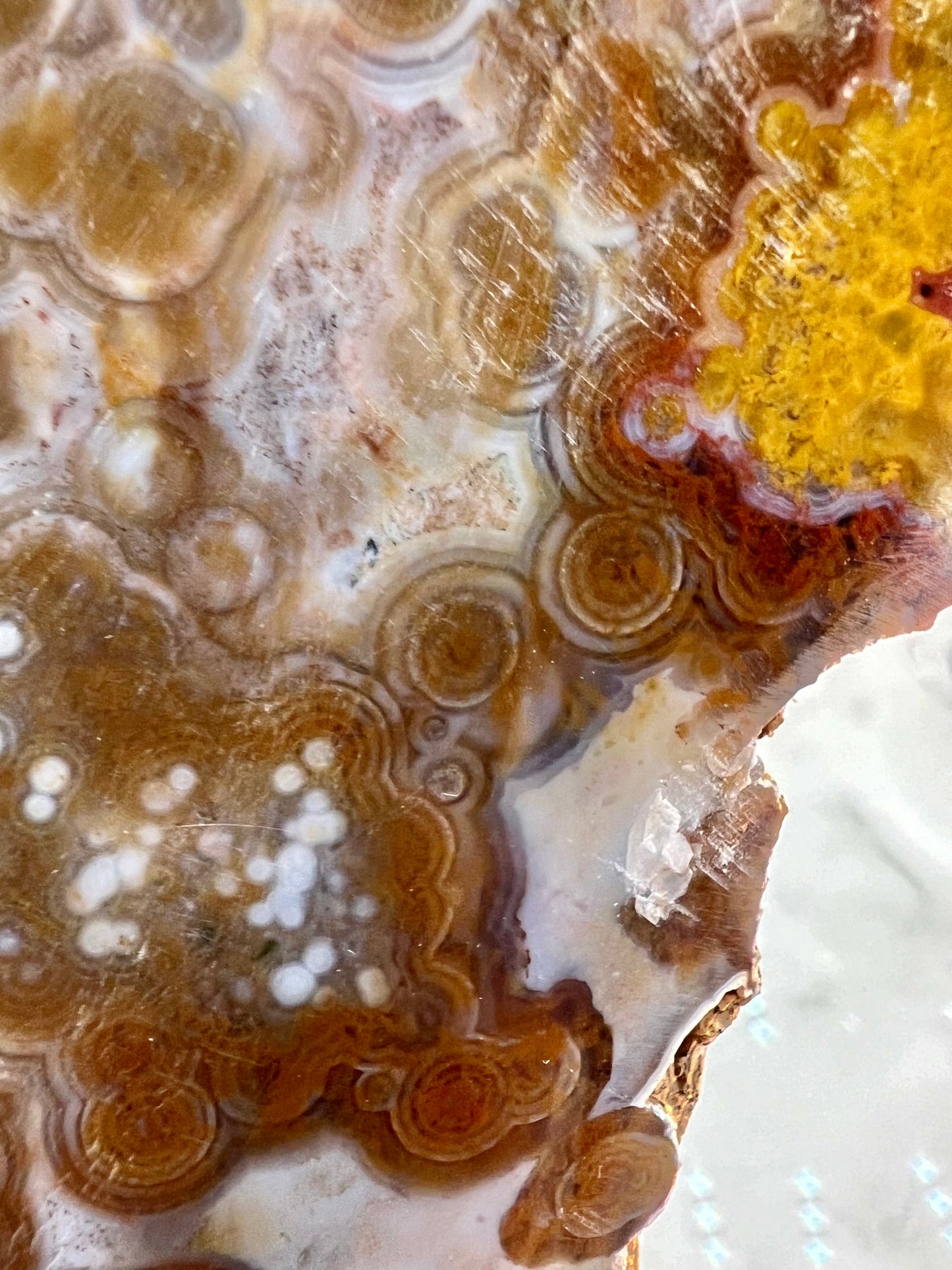 AAA yellow druzy orbicular ocean jasper slab from Madagascar