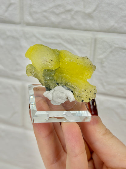 You pick! Yellow Brucite from Pakistan